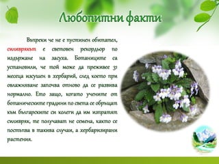 почви и растителен свят