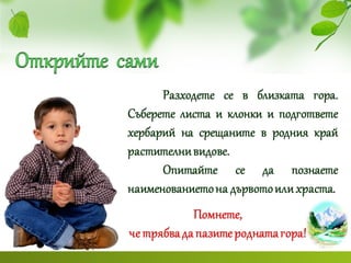 почви и растителен свят