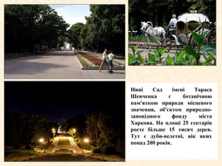 Нині Сад імені Тараса
Шевченка є ботанічною
пам'яткою природи місцевого
значення, об'єктом природно-
заповідного фонду міста
Харкова. На площі 25 гектарів
росте більше 15 тисяч дерев.
Тут є дуби-велетні, вік яких
понад 200 років.
 
