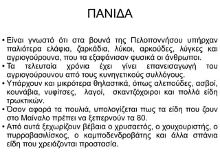 ΠΑΝΙΔΑ
● Είναι γνωστό ότι στα βουνά της Πελοποννήσου υπήρχαν
παλιότερα ελάφια, ζαρκάδια, λύκοι, αρκούδες, λύγκες και
αγριογούρουνα, που τα εξαφάνισαν φυσικά οι άνθρωποι.
● Τα τελευταία χρόνια έχει γίνει επανεισαγωγή του
αγριογούρουνου από τους κυνηγετικούς συλλόγους.
● Υπάρχουν και μικρότερα θηλαστικά, όπως αλεπούδες, ασβοί,
κουνάβια, νυφίτσες, λαγοί, σκαντζόχοιροι και πολλά είδη
τρωκτικών.
● Όσον αφορά τα πουλιά, υπολογίζεται πως τα είδη που ζουν
στο Μαίναλο πρέπει να ξεπερνούν τα 80.
● Από αυτά ξεχωρίζουν βέβαια ο χρυσαετός, ο χουχουριστής, ο
πυρροβασιλίσκος, ο καμποδενδροβάτης και άλλα σπάνια
είδη που χρειάζονται προστασία.
 