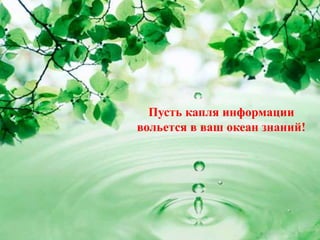 Пусть капля информации
вольется в ваш океан знаний!
 