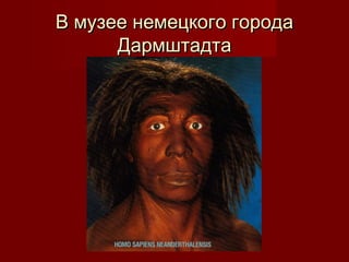 В музее немецкого городаВ музее немецкого города
ДармштадтаДармштадта
 