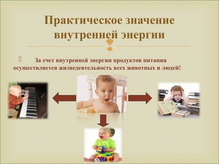 
Практическое значение
внутренней энергии
 За счет внутренней энергии продуктов питания
осуществляется жизнедеятельность всех животных и людей!
 