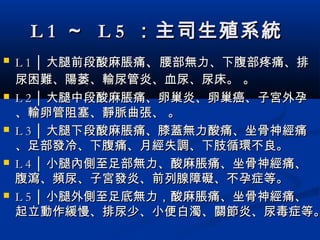 L 1L 1 ～～ L 5L 5 ：主司生殖系統：主司生殖系統
 L 1 │L 1 │ 大腿前段酸麻大腿前段酸麻脹脹痛痛、、腰部無力、下腹部疼痛、排腰部無力、下腹部疼痛、排
尿困難、陽萎、尿困難、陽萎、輸尿管炎、血尿、尿床。輸尿管炎、血尿、尿床。 。。
 L 2 │L 2 │ 大腿中段酸麻脹痛、大腿中段酸麻脹痛、卵巢炎、卵巢癌、子宮外孕卵巢炎、卵巢癌、子宮外孕
、輸卵管阻塞、靜脈曲張、、輸卵管阻塞、靜脈曲張、 。。
 L 3 │L 3 │ 大腿下段酸麻脹痛、膝蓋無力酸痛、坐骨神經痛大腿下段酸麻脹痛、膝蓋無力酸痛、坐骨神經痛
、足部發冷、下腹痛、月經失調、下肢循環不良。、足部發冷、下腹痛、月經失調、下肢循環不良。
 L 4 │L 4 │ 小腿內側至足部無力、酸麻脹痛、坐骨神經痛、小腿內側至足部無力、酸麻脹痛、坐骨神經痛、
腹瀉、頻尿、子宮發炎、前列腺障礙、不孕症等。腹瀉、頻尿、子宮發炎、前列腺障礙、不孕症等。
 L 5 │L 5 │ 小腿外側至足底無力，酸麻脹痛、坐骨神經痛、小腿外側至足底無力，酸麻脹痛、坐骨神經痛、
起立動作緩慢、排尿少、小便白濁、關節炎、尿毒症等。起立動作緩慢、排尿少、小便白濁、關節炎、尿毒症等。
 