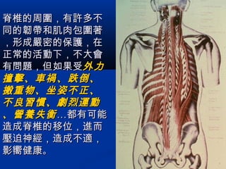 脊椎的周圍，有許多不脊椎的周圍，有許多不
同的韌帶和肌肉包圍著同的韌帶和肌肉包圍著
，形成嚴密的保護，在，形成嚴密的保護，在
正常的活動下，不大會正常的活動下，不大會
有問題，但如果受有問題，但如果受外力外力
撞擊、車禍、跌倒、撞擊、車禍、跌倒、
搬重物、坐姿不正、搬重物、坐姿不正、
不良習慣、劇烈運動不良習慣、劇烈運動
、營養失衡、營養失衡…都有可能…都有可能
造成脊椎的移位，進而造成脊椎的移位，進而
壓迫神經，造成不適，壓迫神經，造成不適，
影嚮健康影嚮健康。。
 