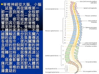 脊椎神經從大腦、小腦脊椎神經從大腦、小腦
、延腦，再從頸椎第一、延腦，再從頸椎第一
節一直到尾椎，全程節節一直到尾椎，全程節
節貫穿，任何一節發生節貫穿，任何一節發生
問題，都可能會逐步影問題，都可能會逐步影
響到其它臨近的脊椎，響到其它臨近的脊椎，
甚至於全身。脊椎就像甚至於全身。脊椎就像
人體的高速公路，不僅人體的高速公路，不僅
維護輸送養份到五臟六維護輸送養份到五臟六
腑的血管，及負責傳送腑的血管，及負責傳送
各項指令，使內臟獲得各項指令，使內臟獲得
良好的控制與平衡的神良好的控制與平衡的神
經。如果脊椎側彎或脊經。如果脊椎側彎或脊
椎轉位時，就像高速公椎轉位時，就像高速公
路，路況就會不佳一樣路，路況就會不佳一樣
，就會影響到全身的新，就會影響到全身的新
陳代謝，故而對人體而陳代謝，故而對人體而
言，脊椎的重要性是無言，脊椎的重要性是無
庸置疑的庸置疑的
 