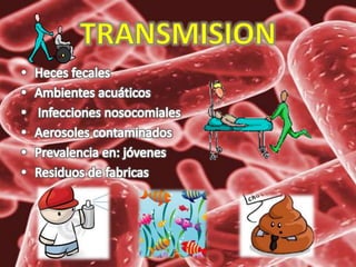 .Klebsiella