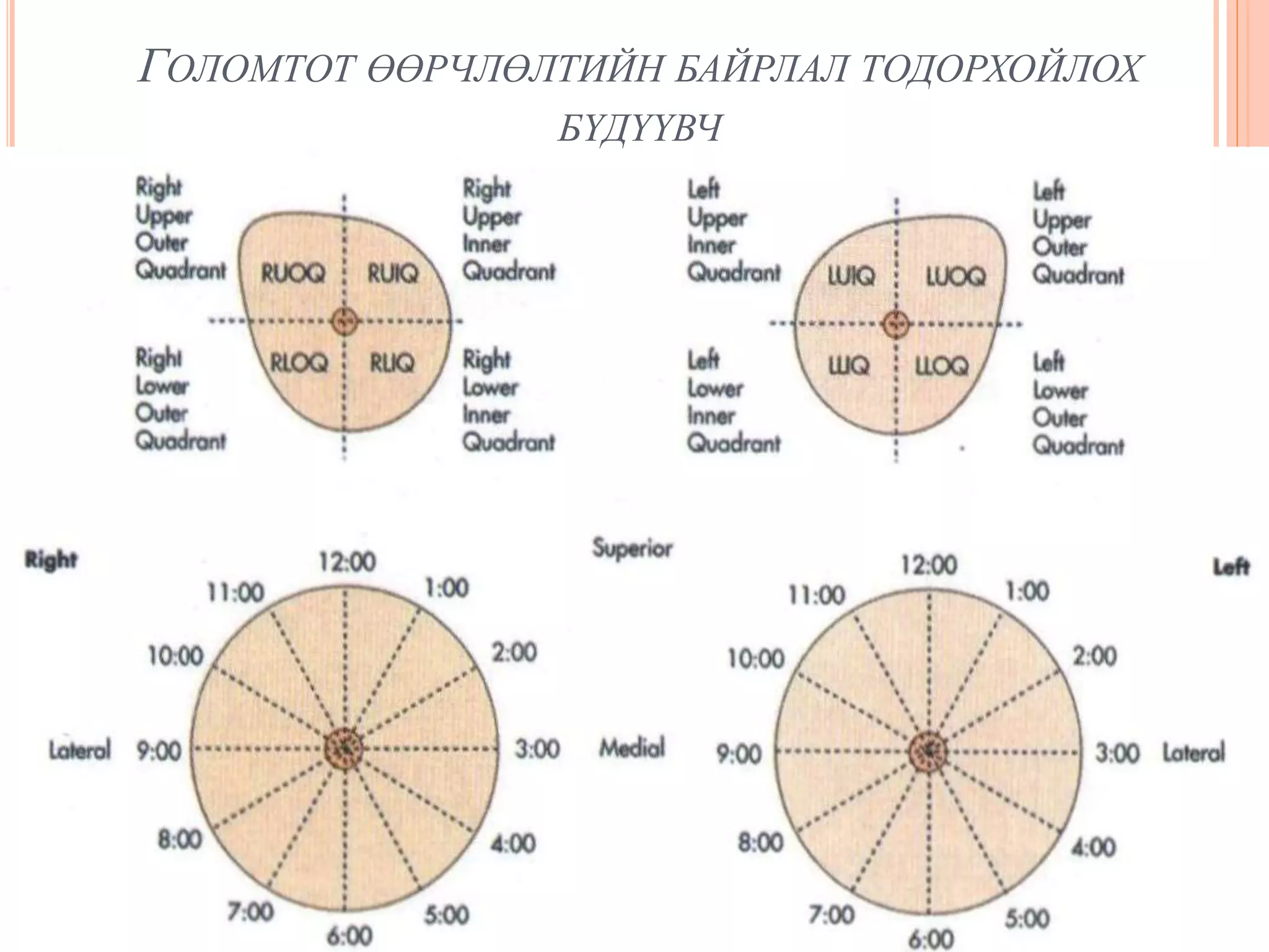 хөхний хэт авиан оношлогоо | PPT