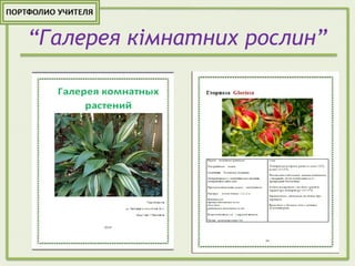 “Галерея кімнатних рослин”
 