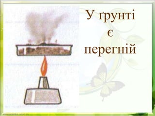 У ґрунті
є
перегній
 