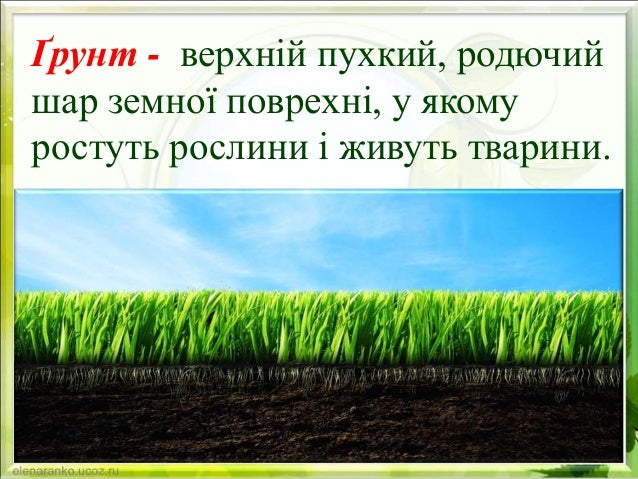 Грунт. Склад грунту. Досліди.
