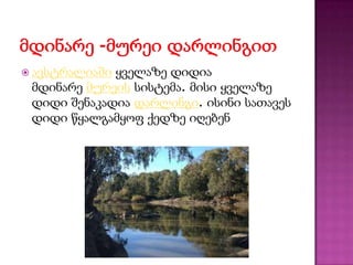  ავსტრალიაში ყველაზე დიდია
მდინარე მურეის სისტემა. მისი ყველაზე
დიდი შენაკადია დარლინგი. ისინი სათავეს
დიდი წყალგამყოფ ქედზე იღებენ
 