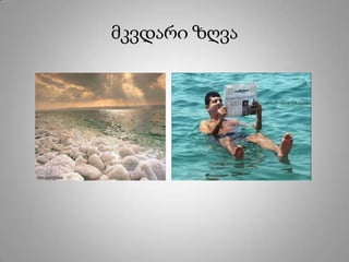 მკვდარი ზღვა
 