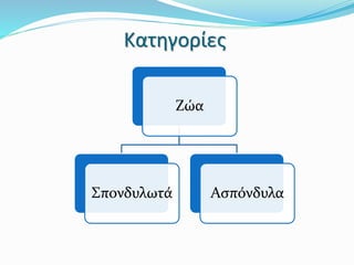 Κατηγορίες
Ζώα
Σπονδυλωτά Ασπόνδυλα
 