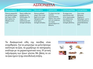 Τα διαφορετικά είδη της πανίδας είναι
αναρίθμητα. Για να μπορούμε να μελετήσουμε
καλύτερα τα ζώα, τα χωρίζουμε σε κατηγορίες
ανάλογα με τα χαρακτηριστικά τους. Η γενική
ταξινόμηση των ζώων γίνεται Με βάση το αν
τα ζώα έχουν ή όχι σπονδυλική στήλη.
ΣΚΩΛΗΚΕΣ ΑΡΘΡΟΠΟΔΑ ΜΑΛΑΚΙΑ ΣΠΟΓΓΟΙ ΕΧΙΝΟΔΕΡΜΑ ΚΝΙΔΟΖΩΑ
Ζώα με μακρουλό
και μαλακό σώμα.
Δεν έχουν πόδια.
Ζουν μέσα στο
έδαφος ή στο
νερό.
Έχουν πόδια που
χωρίζονται σε
πολλά μέρη. Το
σώμα τους
καλύπτεται από
σκληρό κέλυφος.
Ζώα με μαλακό
σώμα. Ζουν στην
ξηρά ή στο νερό.
Ορισμένα από
αυτά έχουν
σκληρό κέλυφος.
Το σώμα τους έχει
πολλούς
μικροσκοπικούς
πόρους. Ζουν κάτω
από την επιφάνεια
του νερού,
προσκολήμενα σε
βράχους.
Το σώμα τους
αποτελείται από
πέντε όμοια μέρη
και καλύπτεται
από πλάκες ή
σκληρές βελόνες.
Ζουν στην
θάλασσα.
Παράγουν
δηλητήριο, με το
οποίο σκοτώνουν
μικρά θαλάσσια
ζώα.
ΑΣΠΟΝΔΥΛΑ
 