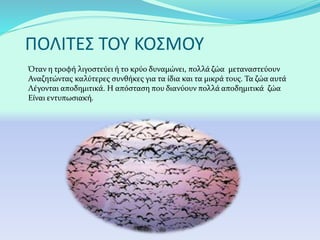 ΠΟΛΙΤΕΣ ΤΟΥ ΚΟΣΜΟΥ
Όταν η τροφή λιγοστεύει ή το κρύο δυναμώνει, πολλά ζώα μεταναστεύουν
Αναζητώντας καλύτερες συνθήκες για τα ίδια και τα μικρά τους. Τα ζώα αυτά
Λέγονται αποδημιτικά. Η απόσταση που διανύουν πολλά αποδημιτικά ζώα
Είναι εντυπωσιακή.
 