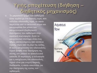  Τν κπξνζηηλό ηκήκα ηνπ νθζαικνύ
είλαη γεκάην κε έλα δηαπγέο πγξό, πνπ
θαιείηαη πδαηνεηδέο πγξό, ην νπνίν
παξάγεηαη από ην αθηηλσηό ζώκα θαη
απνξξνθάηαη δηα κέζνπ ηνπ
απνρεηεπηηθνύ (δηεζεηηθνύ)
ζπζηήκαηνο ηνπ νθζαικνύ ζηελ
αηκαηηθή θπθινθνξία. Απηό ην
απνρεηεπηηθό ζύζηεκα είλαη έλαο
εζκόο απνηεινύκελνο από θαλάιηα
εθξνήο γύξσ από ηε ξίδα ηεο ίξηδαο.
Ζ θαιή απνρέηεπζε ηνπ πδαηνεηδνύο
πγξνύ βνεζά ζηελ δηαηήξεζε ηεο
πίεζεο ηνπ καηηνύ ζε θπζηνινγηθά
επίπεδα. Ζ παξαγσγή, ε θπινθνξία
θαη ε απνρέηεπζε ηνπ πδαηνεηδνύο
πγξνύ είλαη κηα ελεξγή δηαξθήο
δηαδηθαζία, ε νπνία απαηηείηαη γηα
ηελ δηαηήξεζε ηεο πγείαο ηνπ
νθζαικνύ.
 