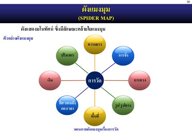ผลการค้นหารูปภาพสำหรับ ผังแมงมุม