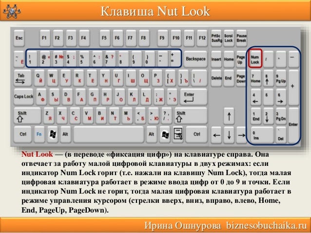 Какой клавишей можно удалить символ в тексте. Клавиша для удаления символа. Удаление символа справа от курсора. Удаляет символ находящийся после курсора. Какая клавиатура отвечает за Скриншот.