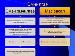 Эмчилгээ
Эмэн эмчилгээ
Өндгөвчийн туйлдлын хам шинж-даавар
орлуулах эмчилгээ
Өндгөн эс гадагшлахгүй үед- гестаген,
хавсарсан уудаг ерөндөг
Климофен, гонадотропин/өндгөн эс
гадагшлалтыг шинжлэх/
Пролактин хэт ихсэлт-бромкриптин
Гонадотропин багасалт бүхий гипогонадизм-
даавар орлуулах эмчилгээ
Мэс засал
Бэлгийн замын хөгжлийн гажиг-
үтрээгүй /зохиомол үтрээ/
Үтрээний хөндлөн таславч, охин хальс битүү
бол мэс засал
Өнчин тархины микроаденом- эмэн
эмчилгээнд илааршина
Гонадын дисгенезтэй- гонадыг заавал авна
 