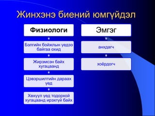 Жинхэнэ биений юмгүйдэл
Физиологи
Бэлгийн бойжлын үедээ
байгаа охид
Жирэмсэн байх
хугацаанд
Цэвэршилтийн дараах
үед
Хөхүүл үед тодорхой
хугацаанд ирэхгүй байх
Эмгэг
анхдагч
хоѐрдогч
 
