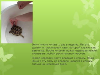 Эмму нужно купать 1 раз в неделю. Мы это
делаем в пластиковом тазу, который служит как
ванночка. После купания ножки череп...