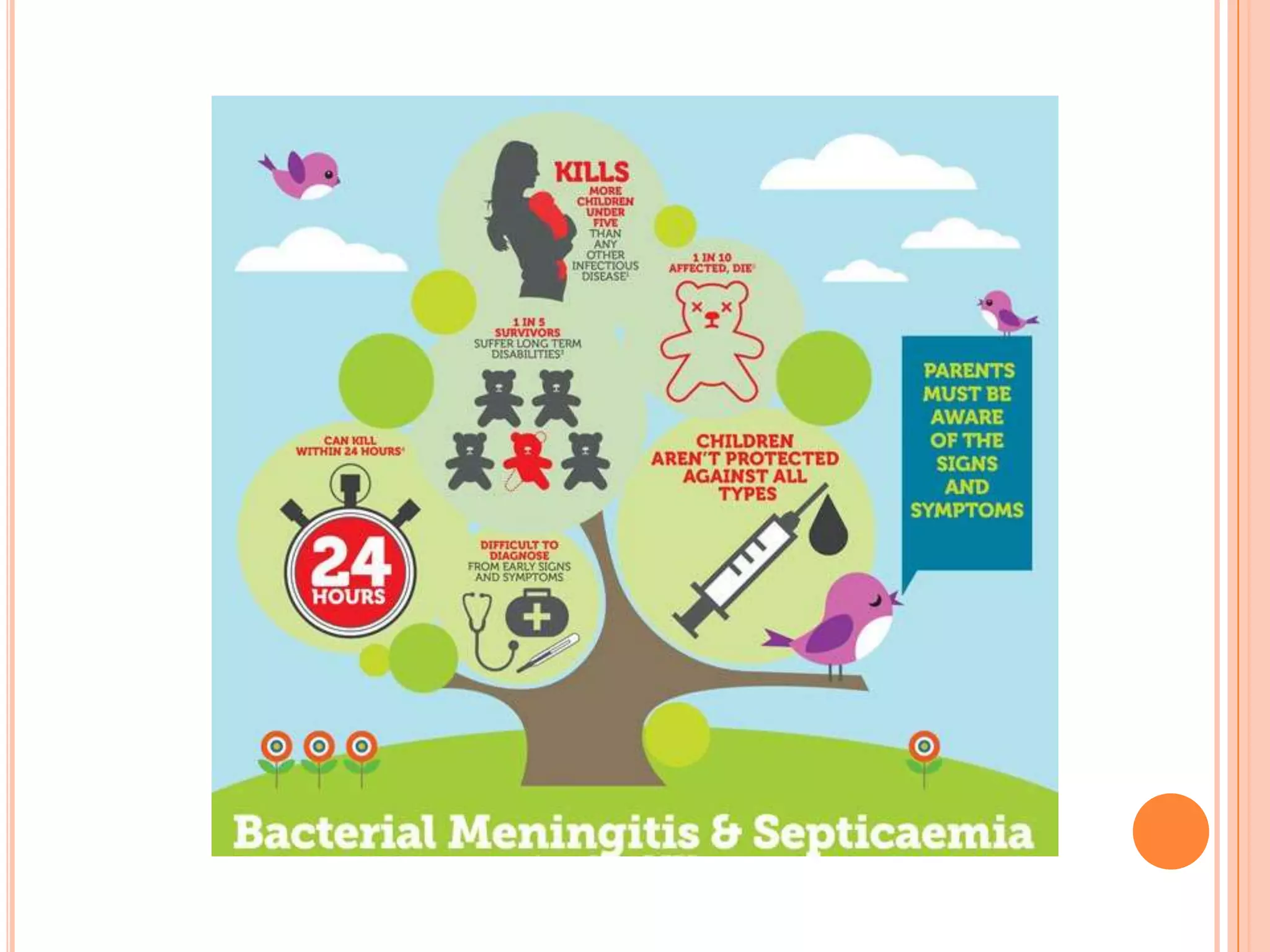 Semga Infection Sepsa & Meningitis | PPT