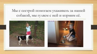 Мы с сестрой помогаем ухаживать за нашей
собакой, мы гуляем с ней и кормим её.
 