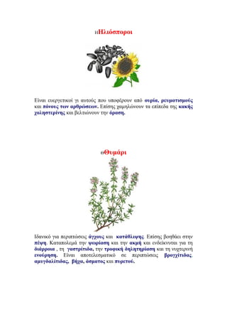 ΗΗλιόσποροι
Είναι ευεργετικοί γι αυτούς που υποφέρουν από ουρία, ρευματισμούς
και πόνους των αρθρώσεων. Επίσης χαμηλώνουν τα επίπεδα της κακής
χοληστερίνης και βελτιώνουν την όραση.
ΘΘυμάρι
Ιδανικό για περιπτώσεις άγχους και κατάθλιψης. Επίσης βοηθάει στην
πέψη. Καταπολεμά την ψωρίαση και την ακμή και ενδείκνυται για τη
διάρροια , τη γαστρίτιδα, την τροφική δηλητηρίαση και τη νυχτερινή
ενούρηση. Eίναι αποτελεσματικό σε περιπτώσεις βρογχίτιδας,
αμυγδαλίτιδας, βήχα, άσματος και πυρετού.
 