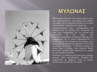 Μυλωνάδες λέγονταν στα παλιά χρόνια αυτοί
που εκμεταλλεύονταν τους μύλους και άλεθαν
τα σιτηρά, για να παράγουν αλεύρι, με το οποίο
παρασκεύαζε η οικογένεια το ψωμί της .
Χρησιμοποιούσαν τους αλευρόμυλους που
διακρίνονταν σε κείνους που κινούνταν με
νερό τους νερόμυλους, και σε κείνους που
κινούνταν με τον αέρα, που
λέγονταν ανεμόμυλοι. Το βασικό εξάρτημα του
ανεμόμυλου, με το οποίο εξασφαλίζονταν η
κίνηση του με την επενέργεια του ανέμου, ήταν
η φτερωτή, που βρισκόταν μπροστά και έξω από
το κτίσμα του μύλου. Ο βασικός κορμός του
μύλου ήταν η πέτρα. Δυο πέτρινοι δίσκοι
κινούνταν αντίθετα και τρίβοντας τον καρπό
τον μετέτρεπαν σε αλεύρι.
Η δουλειά του μυλωνά ήταν μοναχική, σκληρή,
επίπονη αλλά προσοδοφόρα. Συνήθως δεν
πληρωνόταν με χρήματα, αλλά με αλεύρι,
ανάλογα με τη ποσότητα που άλεθε.
 