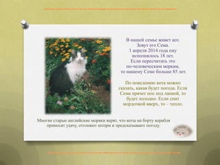 В нашей семье живет кот.
Зовут его Сема.
1 апреля 2014 года ему
исполнилось 18 лет.
Если пересчитать это
по-человеческим меркам,
то нашему Семе больше 85 лет.
По поведению кота можно
сказать, какая будет погода. Если
Сема прячет нос под лапкой, то
будет холодно. Если спит
мордочкой вверх, то – тепло.
Многие старые английские моряки верят, что коты на борту корабля
приносят удачу, отгоняют шторм и предсказывают погоду.
 