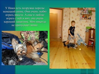 У Ники есть подружка породыУ Ники есть подружка породы
немецкий шпиц. Они очень любятнемецкий шпиц. Они очень любят
играть вместе. А еще я люблюиграть вместе. А еще я люблю
играть с ней в мяч, она оченьиграть с ней в мяч, она очень
хороший защитник. Мяч никогдахороший защитник. Мяч никогда
не пропускает мимо.не пропускает мимо.
 