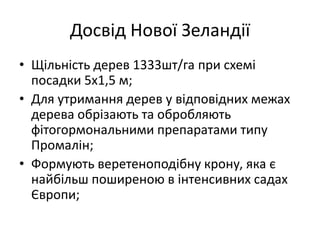 Досвід Нової Зеландії
• Щільність дерев 1333шт/га при схемі
посадки 5х1,5 м;
• Для утримання дерев у відповідних межах
дерева обрізають та обробляють
фітогормональними препаратами типу
Промалін;
• Формують веретеноподібну крону, яка є
найбільш поширеною в інтенсивних садах
Європи;
 