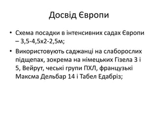 Досвід Європи
• Схема посадки в інтенсивних садах Європи
– 3,5-4,5х2-2,5м;
• Використовують саджанці на слаборослих
підщепах, зокрема на німецьких Гізела 3 і
5, Вейрут, чеські групи ПХЛ, французькі
Максма Дельбар 14 і Табел Едабріз;
 