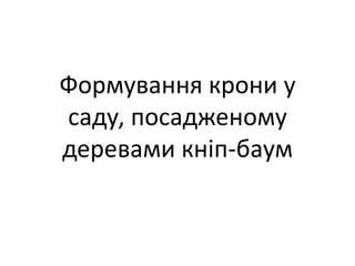 Формування крони у
саду, посадженому
деревами кніп-баум
 