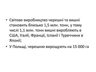 • Світове виробництво черешні та вишні
становить близько 1,5 млн. тонн, у тому
числі 1,1 млн. тонн вишні виробляють в
США, Італії, Франції, Іспанії і Туреччини в
Японії;
• У Польщі, черешню вирощують на 15 000 га
 