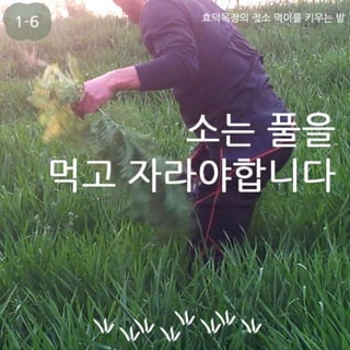 마땅한 보통 그 기본을 지키는 유기농 효덕목장 김호기 이선애 농부님