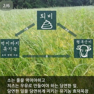 마땅한 보통 그 기본을 지키는 유기농 효덕목장 김호기 이선애 농부님