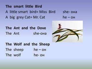 The smart little Bird
A little smart bird= Miss Bird she- она
A big grey Cat= Mr. Cat he – он
The Ant and the Dove
The Ant she-она
The Wolf and the Sheep
The sheep he – он
The wolf he- он
 