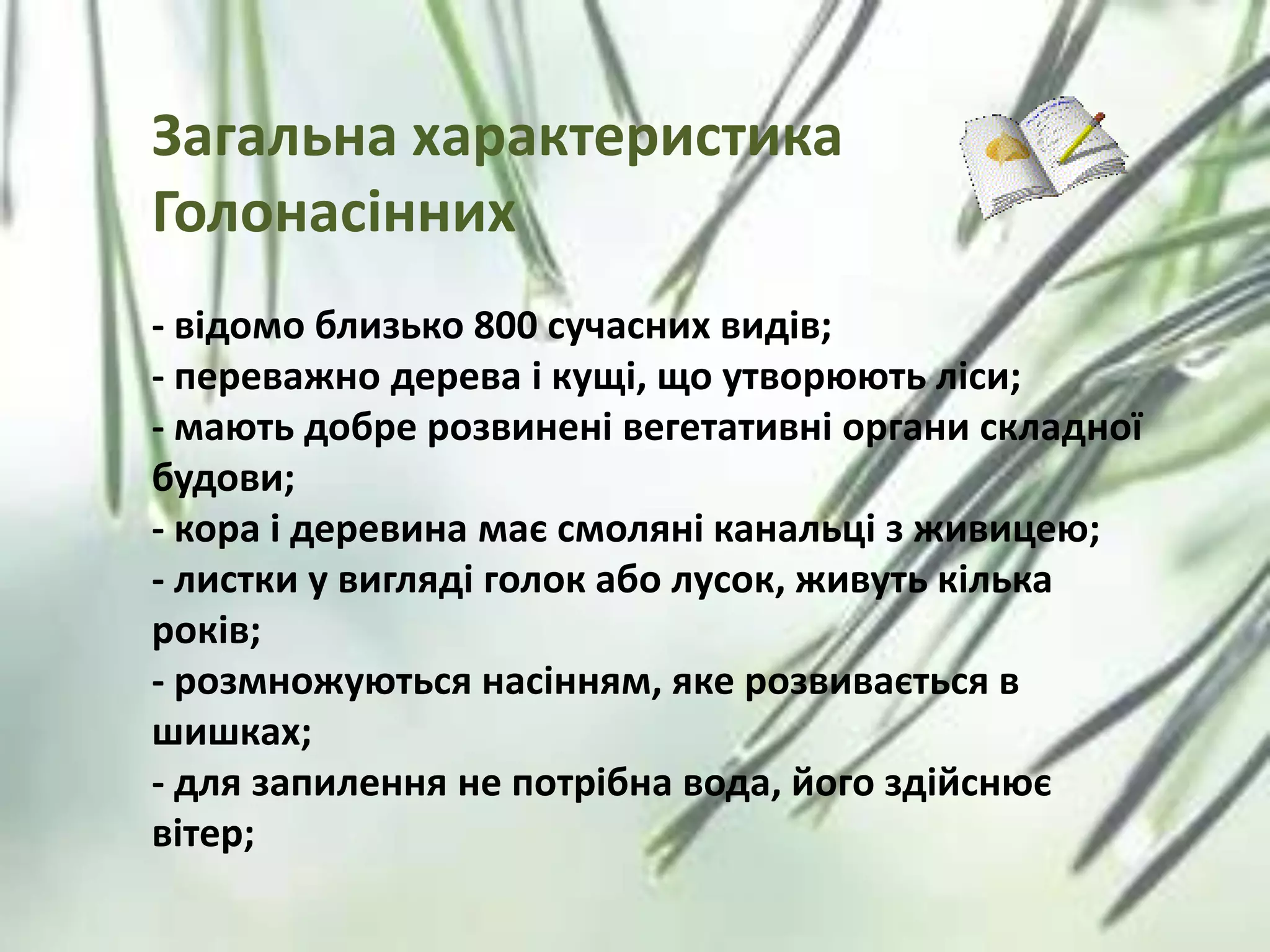Загальна характеристика
Голонасінних
- відомо близько 800 сучасних видів;
- переважно дерева і кущі, що утворюють ліси;
- мають добре розвинені вегетативні органи складної
будови;
- кора і деревина має смоляні канальці з живицею;
- листки у вигляді голок або лусок, живуть кілька
років;
- розмножуються насінням, яке розвивається в
шишках;
- для запилення не потрібна вода, його здійснює
вітер;
 