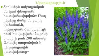 Նկարագրություն
Տերևներն ամբողջական
են կամ փետրաձև
հատվածավորված։Ծաղ
իկները մանր են բարդ
վահանաձև,
ողկույզաձև ծաղկաբույլե
րում հավաքված։Հայտնի
է ավելի քան 200 տեսակֈ
Առավել տարածված է
դեղորայքային
կատվախոտը։
 