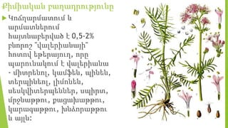 Քիմիական բաղադրությունը
 Կոճղարմատում և
արմատներում
հայտնաբերված է 0,5-2%
բնորոշ ''վալերիանայի''
հոտով եթերայուղ, որը
պարունակում է վալերիանա
- միտրենոլ, կամֆեն, պինեն,
տերպինեոլ, լիմոնեն,
սեսկվիտերպեններ, սպիրտ,
մրջնաթթու, քացախաթթու,
կարագաթթու, խնձորաթթու
և այլն:
 
