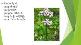  Քիմիական
տարրերից`
կալիում(K),
կալցիում(Ca) և
մագնեզիում(Mg),
օսլա, խեժ և այլն:
 