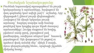 Բուժական նշանակությունը
 Բուժման նպատակով օգտագործում են բույսի
կոճղարմատը և արմատները. հավաքում են
վաղ գարնանը կամ ավելի լավ է` աշնանը, երբ
վերջացած է լինում բույսի վեգետացիան:
Հավաքում են միայն երկամյա բույսի
արմատը` հաջորդ տարվա աճի համար
թողնելով նրա կողքից դուրս եկած մատղաշ
արմատածիլը: Հումքը մաքրում են հողից,
լվանում սառը ջրով, չորացնում լավ
քամհարվող, ստվերոտ տեղում կամ` հատուկ
չորանոցում: Այն փաթաթում են թղթով ու
պահում փակ ամանի մեջ` մինչև 3 տարի,
մյուս դեղաբույսերից հեռու, որպեսզի չկլանեն
միմյանց հոտը:
 