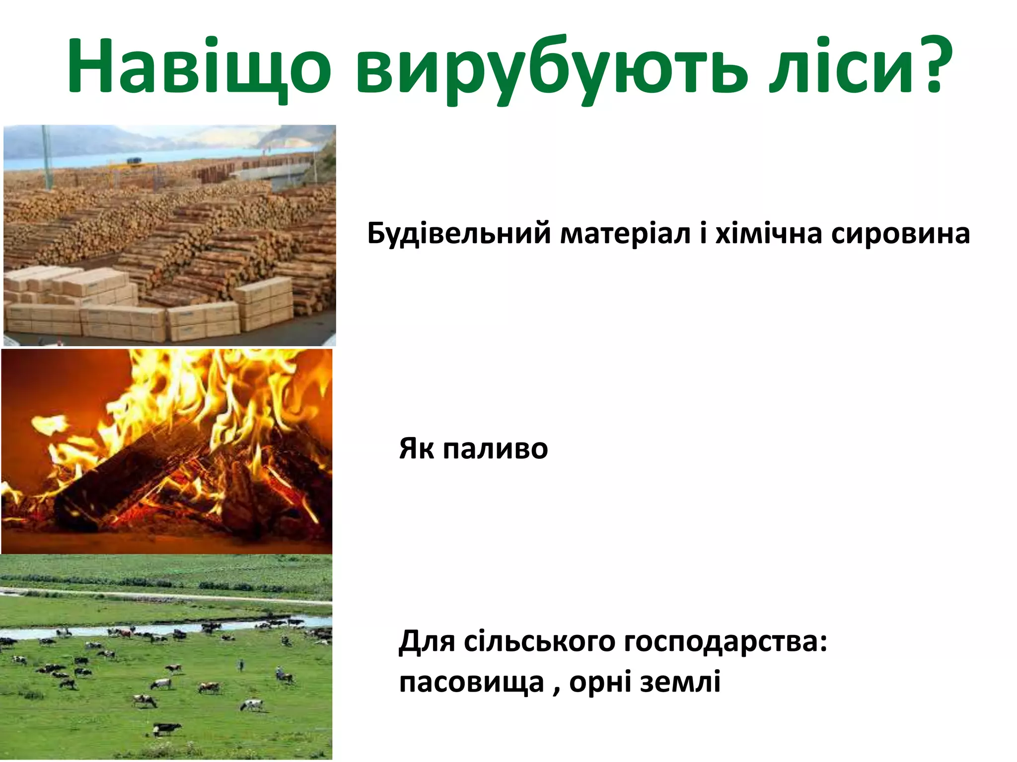 Навіщо вирубують ліси?
Будівельний матеріал і хімічна сировина
Для сільського господарства:
пасовища , орні землі
Як паливо
 
