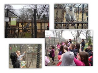 за животните и хората павликени