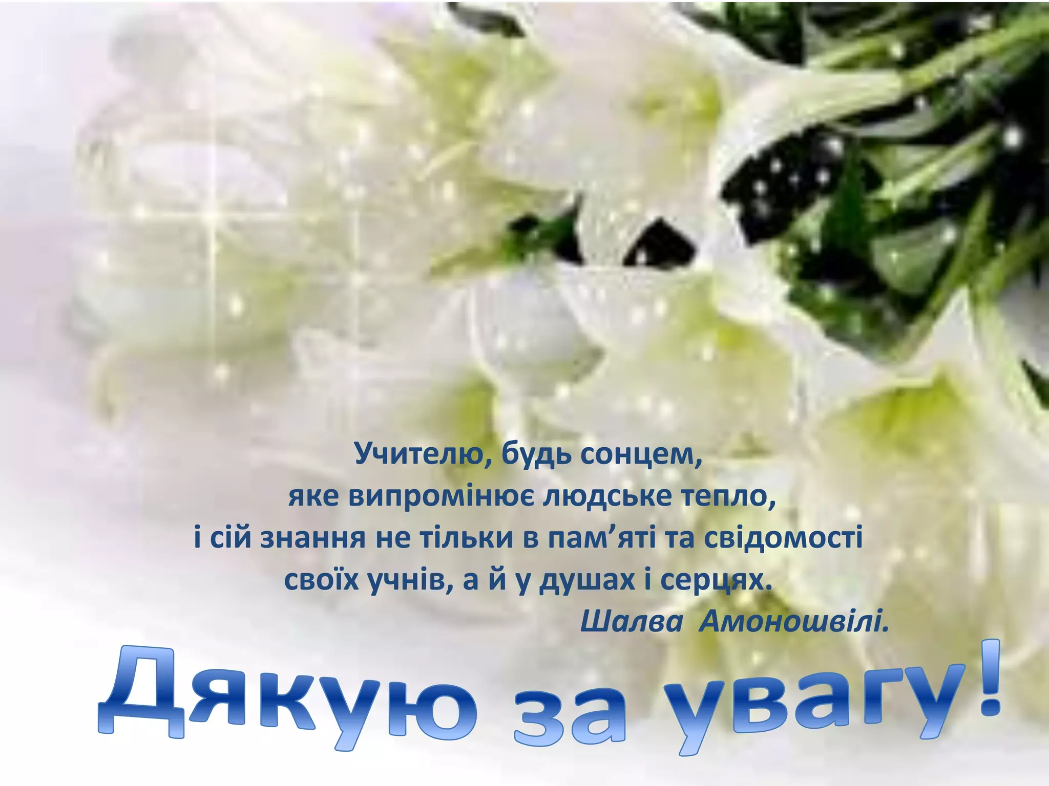 Учителю, будь сонцем,
яке випромінює людське тепло,
і сій знання не тільки в пам’яті та свідомості
своїх учнів, а й у душах і серцях.
Шалва Амоношвілі.
 