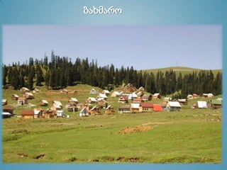 ბახმარო
 