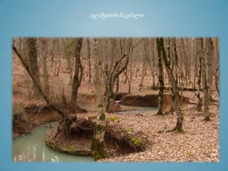 აჯამეთის ნაკძალი
 