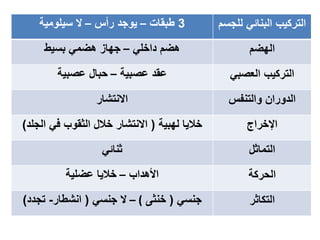 ‫لل‬ ‫البنائي‬ ‫التركيب‬‫جسم‬3‫طبقات‬–‫رأس‬ ‫يوجد‬–‫سيلومية‬ ‫ال‬
‫الهضم‬‫داخلي‬ ‫هضم‬–‫بسيط‬ ‫هضمي‬ ‫جهاز‬
‫التركيب‬‫العصبي‬‫عصبية‬ ‫عقد‬–‫عصبية‬ ‫حبال‬
‫والتنفس‬ ‫الدوران‬‫االنتشار‬
‫اإلخراج‬‫لهبية‬ ‫خاليا‬(‫الج‬ ‫في‬ ‫الثقوب‬ ‫خالل‬ ‫االنتشار‬‫لد‬)
‫التماثل‬‫ثنائي‬
‫الحركة‬‫األهداب‬–‫خاليا‬‫عضلية‬
‫التكاثر‬‫جنسي‬(‫خنثى‬)–‫جنسي‬ ‫ال‬(‫انشطار‬-‫تجدد‬)
 